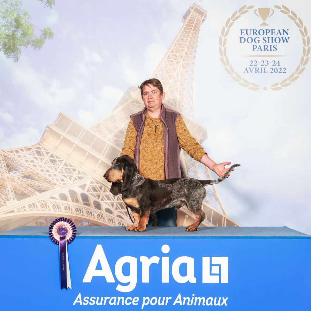 des vallées longeronnaises - Championnat de france - Europeen dog show Paris 2022