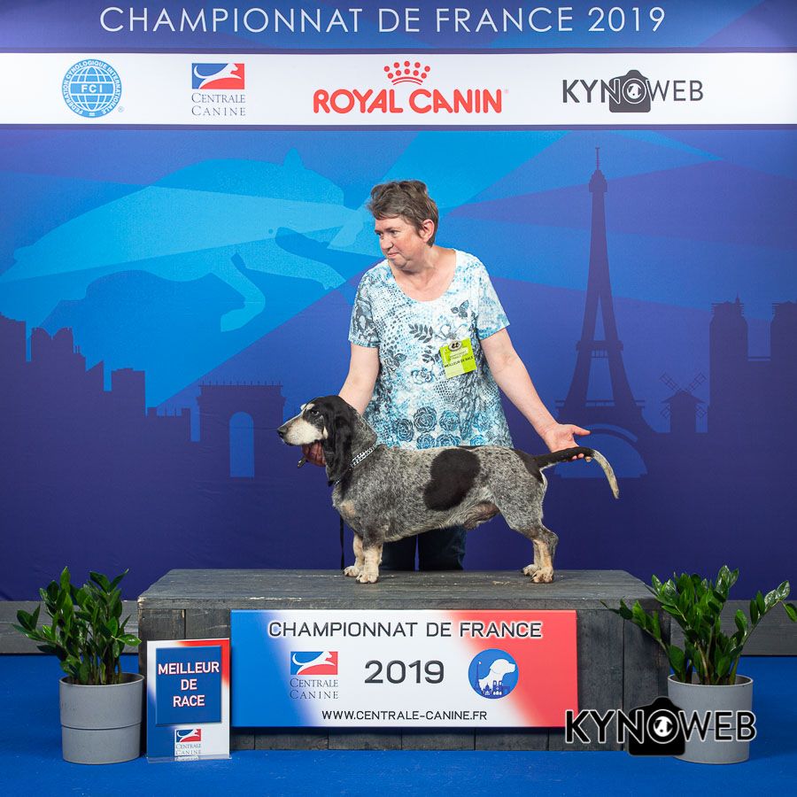 des vallées longeronnaises - Championnat de France Paris 2019 