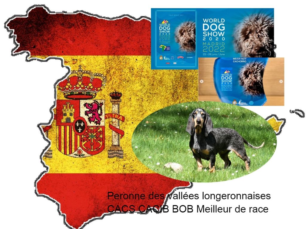 des vallées longeronnaises - World dog Show - Championnat du Monde 
