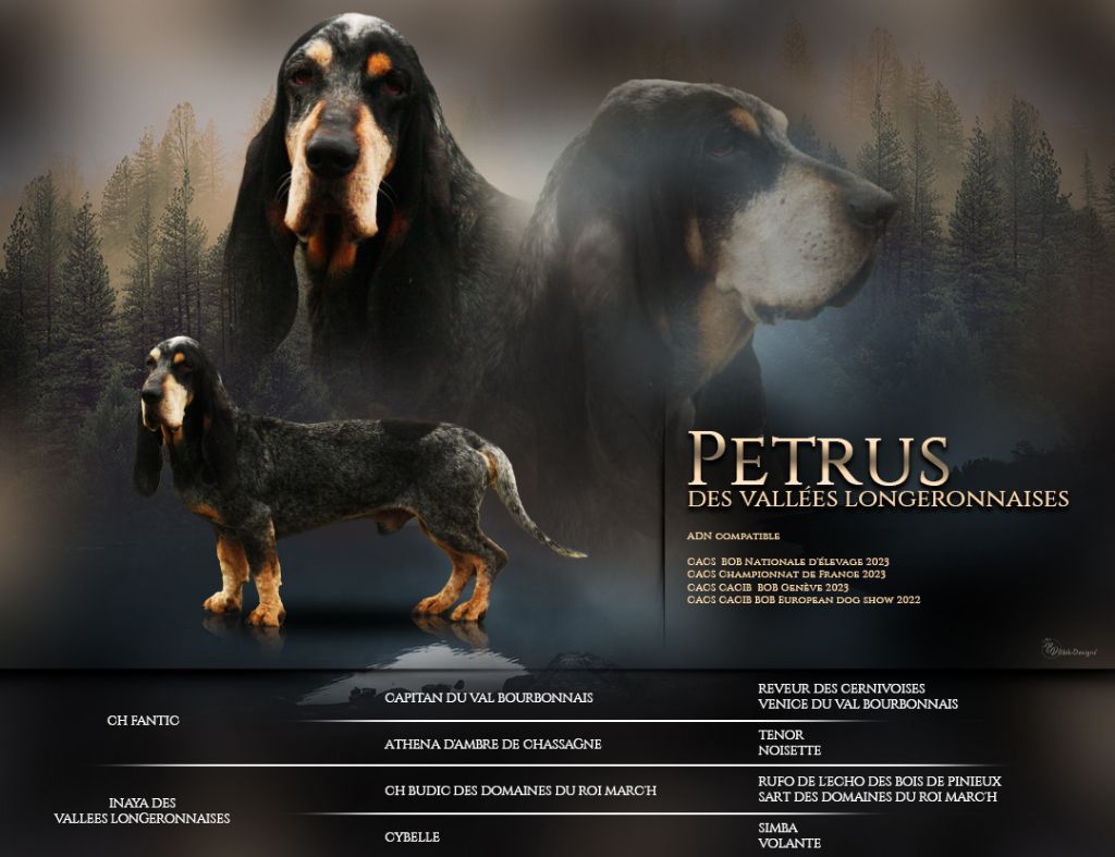 CH. Petrus des vallées longeronnaises