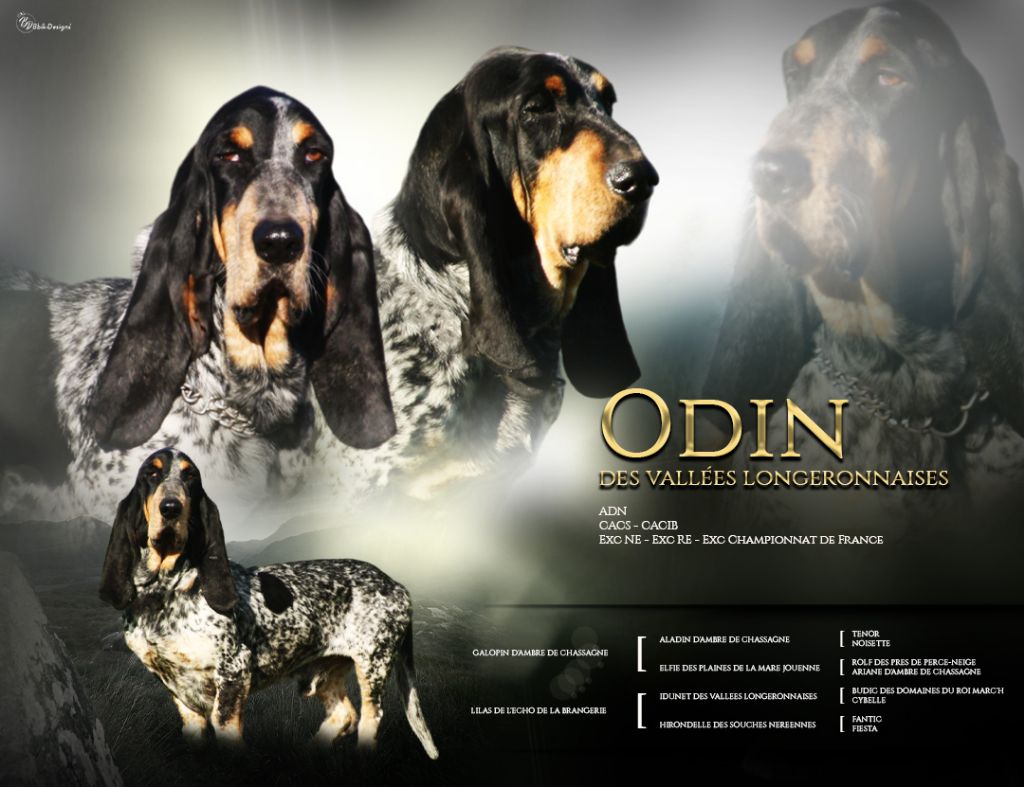 Odin des vallées longeronnaises