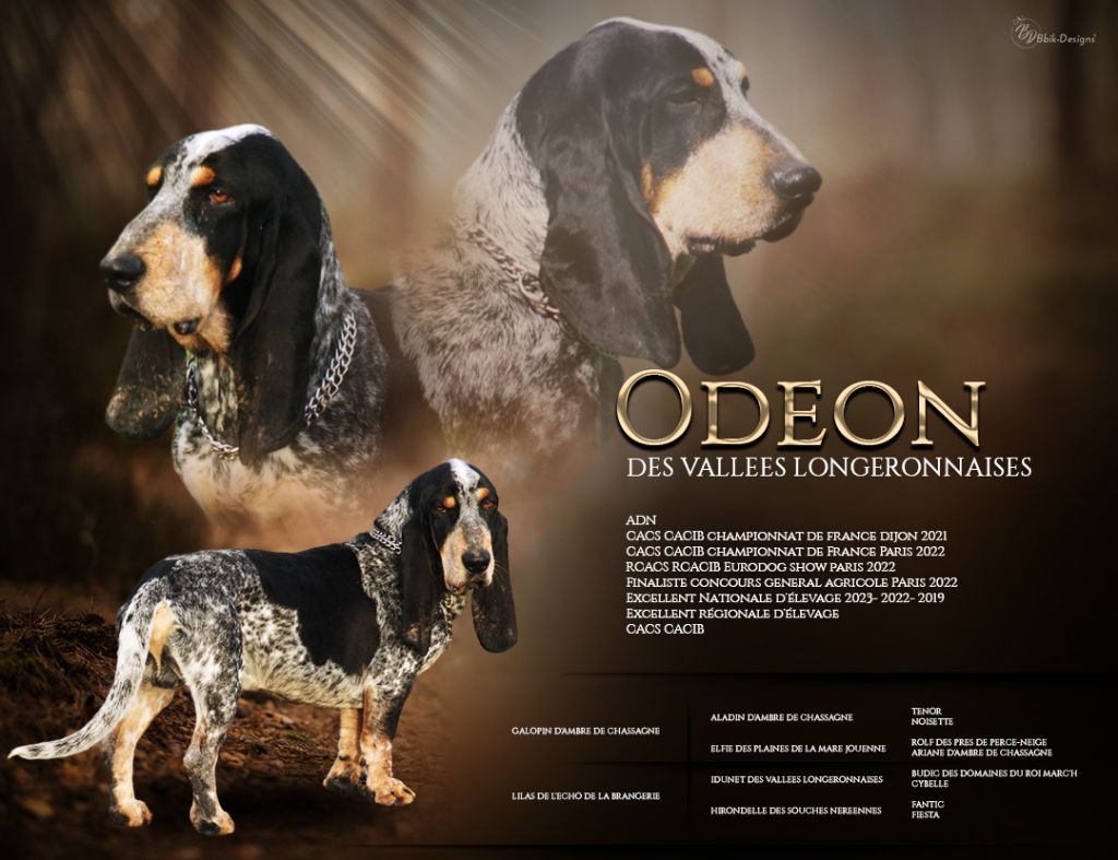 Odeon des vallées longeronnaises