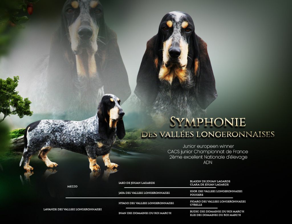 Symphonie des vallées longeronnaises