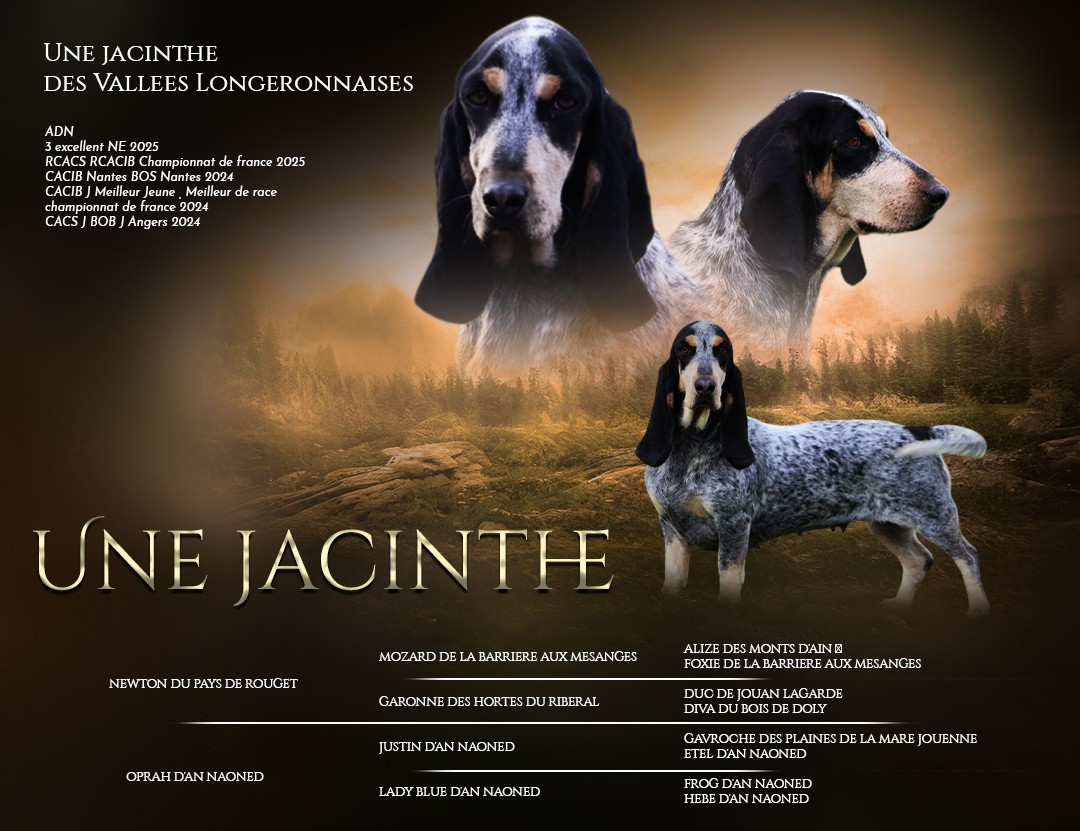 Une jacinthe des vallées longeronnaises