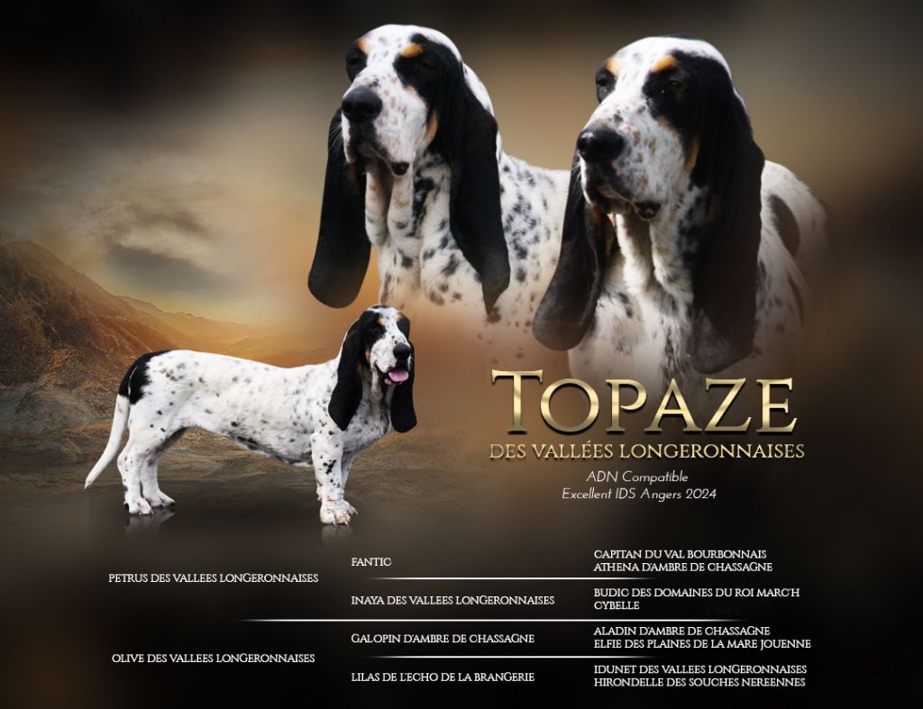 Topaze des vallées longeronnaises