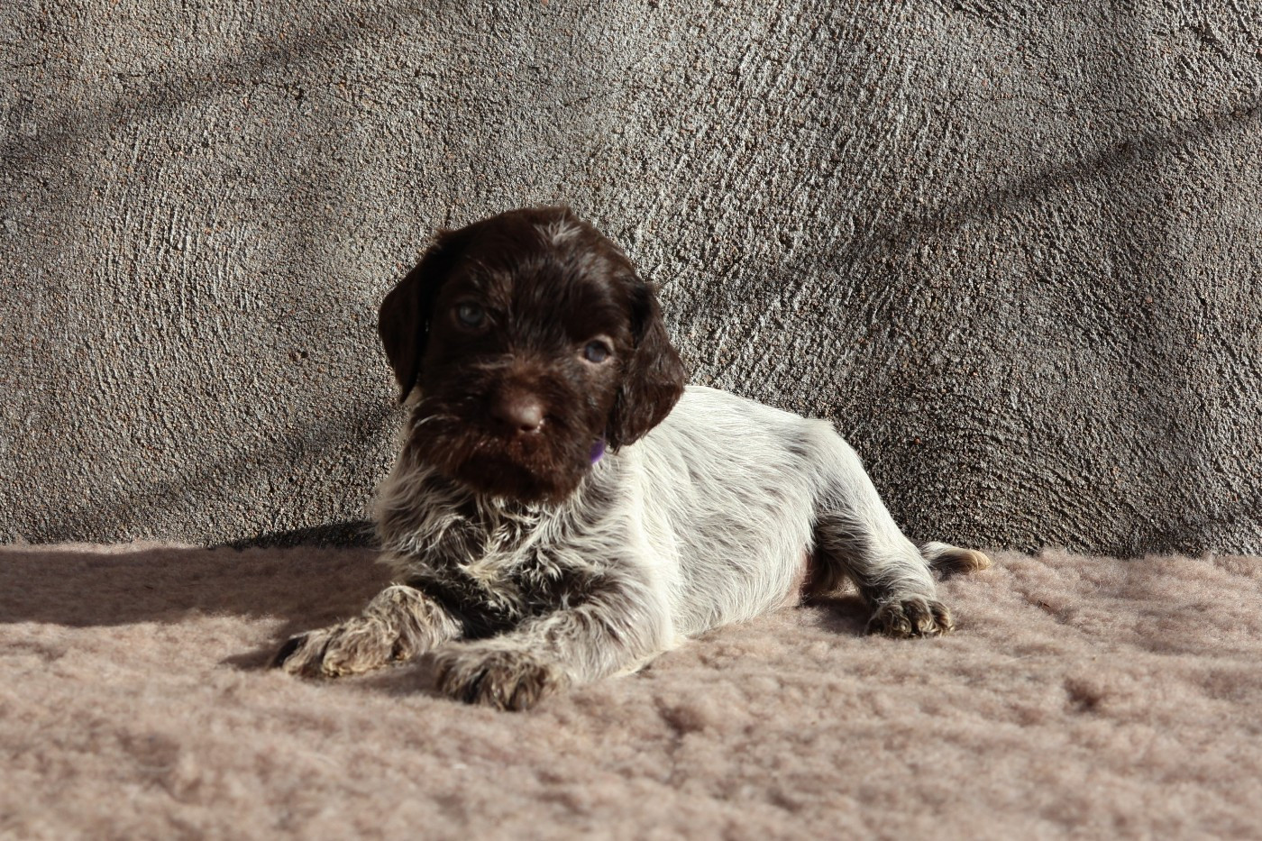 Dernière Naissance 2025 !