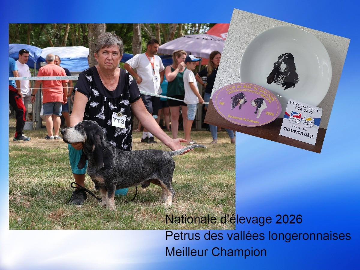 Nationale d'élevage 2026