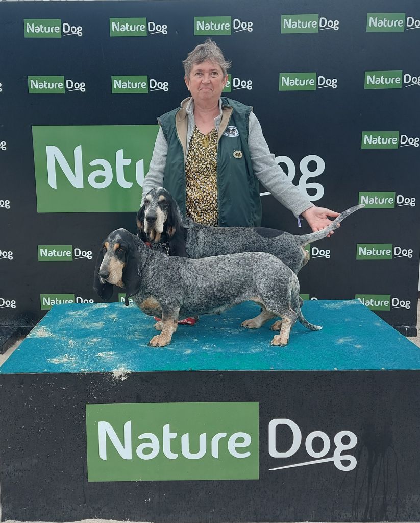Grand prix des chiens de chasse 2025